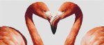 (image for) Flamingo Love